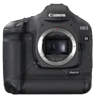 Устранение битых пикселей на CCD/CMOS матрице Canon EOS 1D Mark III