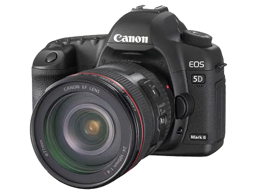 Устранение битых пикселей на CCD/CMOS матрице Canon 5D Mark III (EOS)