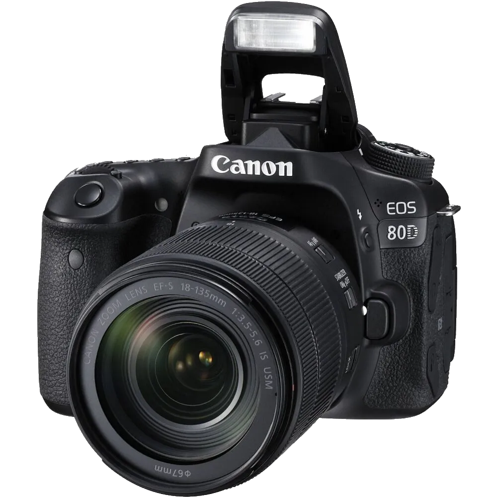 Устранение битых пикселей на CCD/CMOS матрице Canon EOS 80D