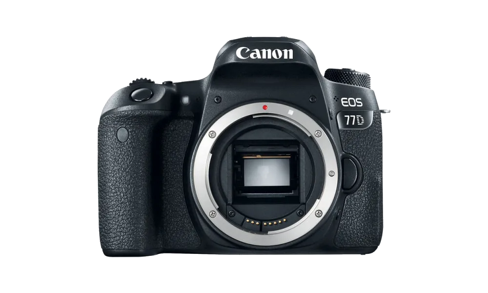 Устранение битых пикселей на CCD/CMOS матрице Canon EOS 77D Body