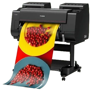 Ремонт блока питания Canon imagePROGRAF PRO-2100