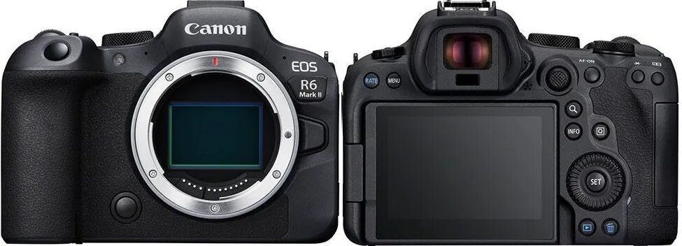 Устранение битых пикселей на CCD/CMOS матрице Canon EOS R6 Mark III