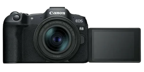 Устранение битых пикселей на CCD/CMOS матрице Canon EOS R10 Mark II